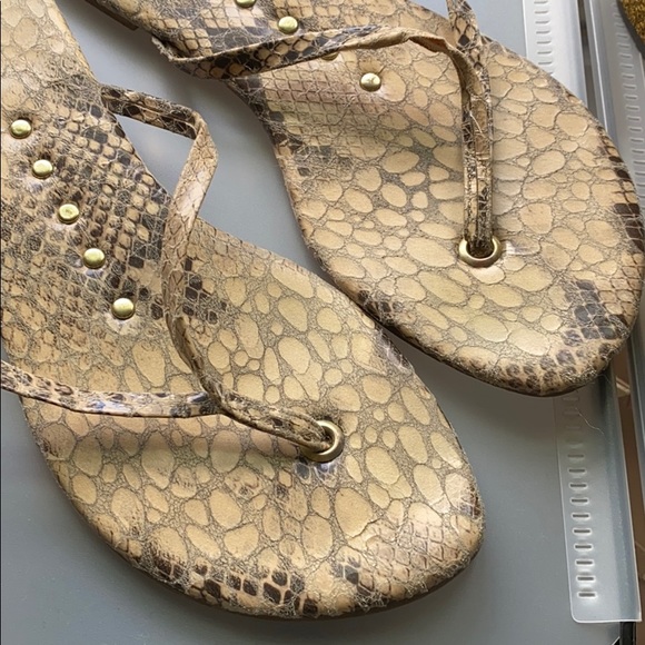 J/slides thongs size 8 - Picture 2 of 3